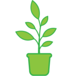 Growing 3